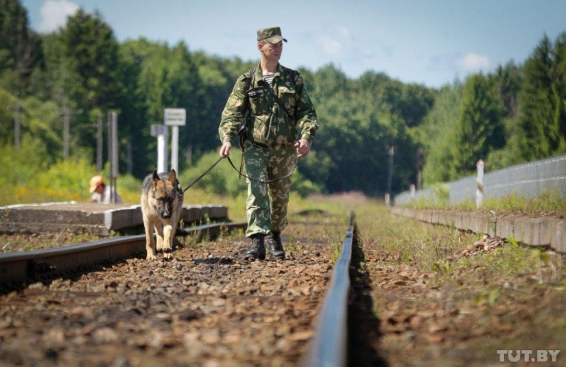 How Puppies Become Border Guards
