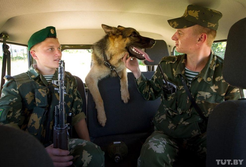 How Puppies Become Border Guards
