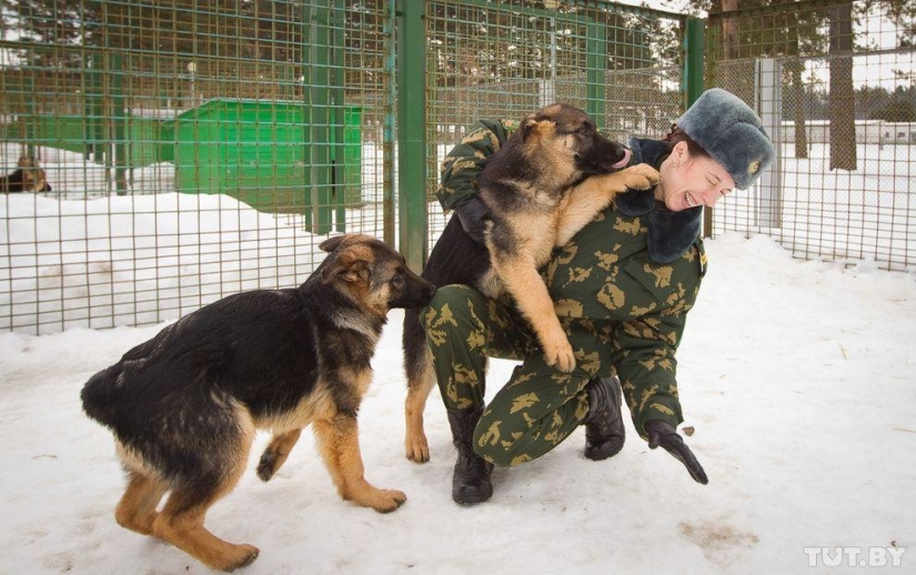 How Puppies Become Border Guards