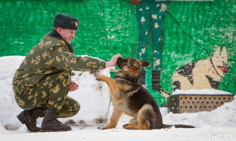 How Puppies Become Border Guards