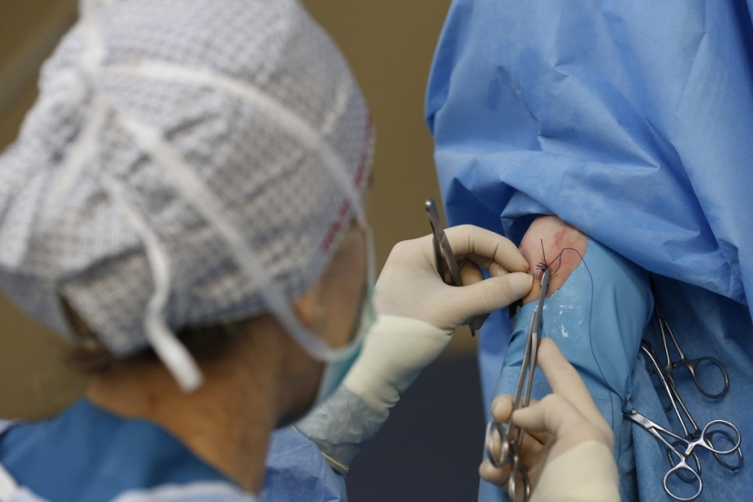 How race horses are treated in Istanbul
