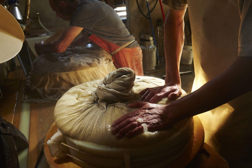 How Swiss cheese is made How Swiss cheese is made