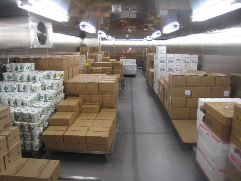 How the largest cruise ship in the world works