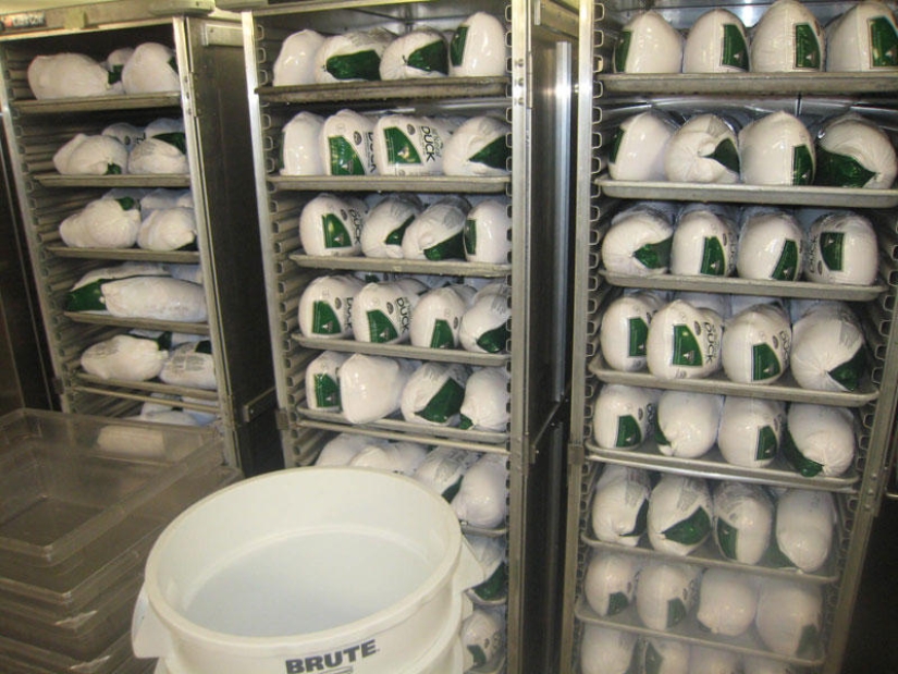 How the largest cruise ship in the world works