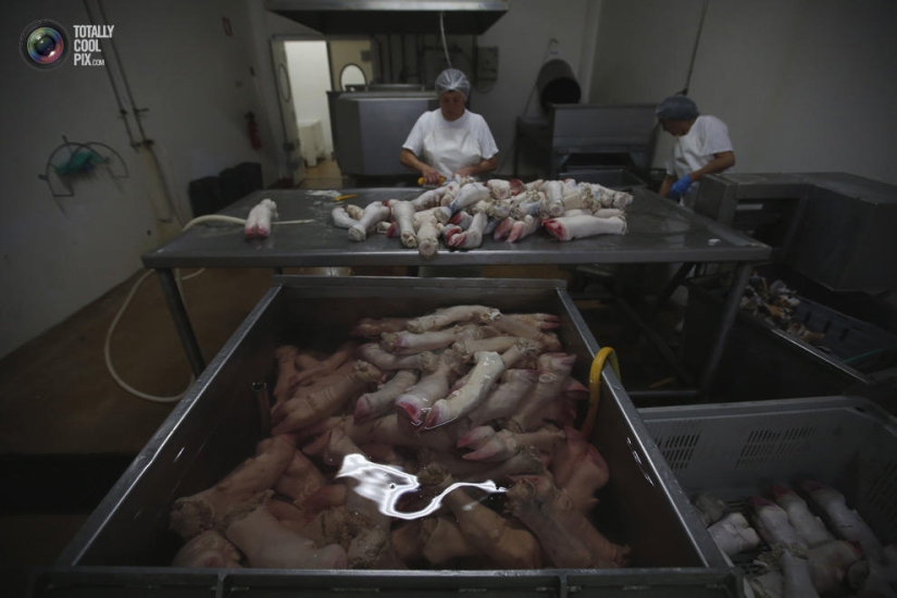 How the meat we eat is made How the meat we eat is made