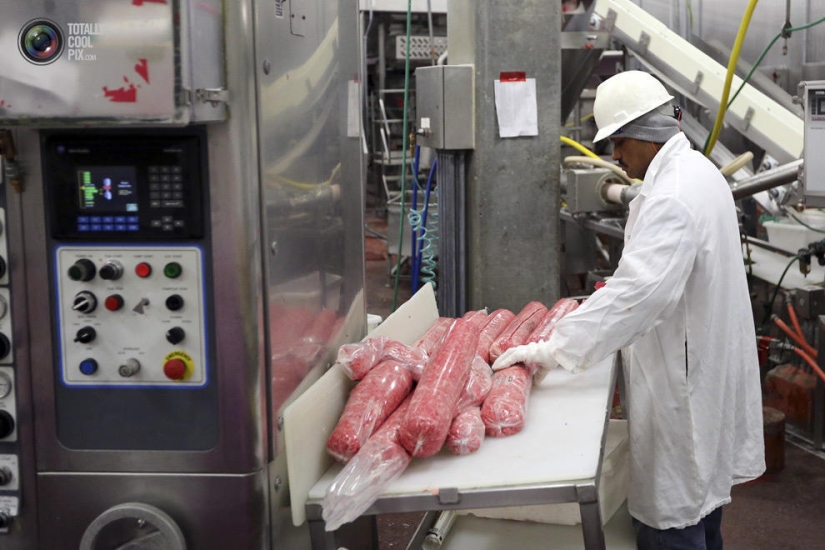 How the meat we eat is made How the meat we eat is made