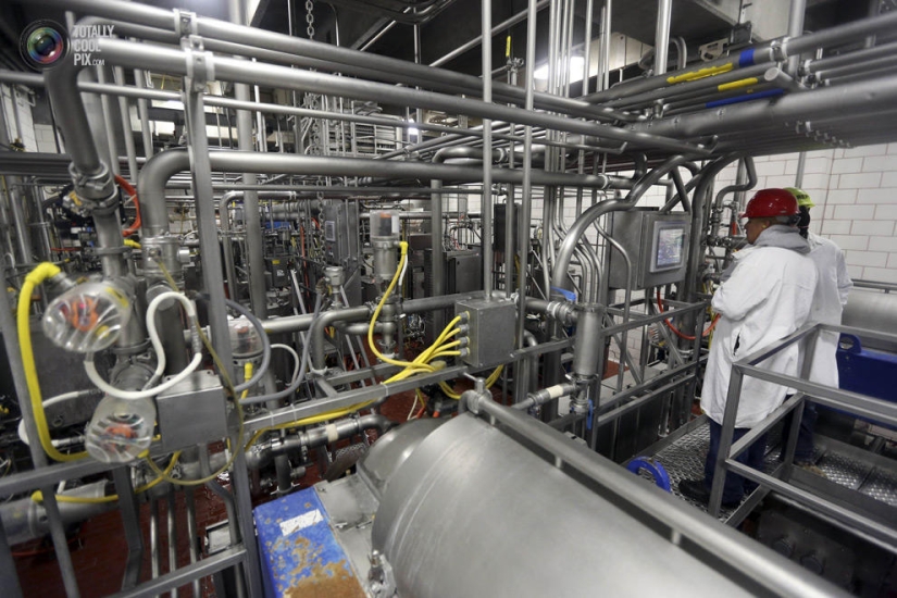 How the meat we eat is made How the meat we eat is made