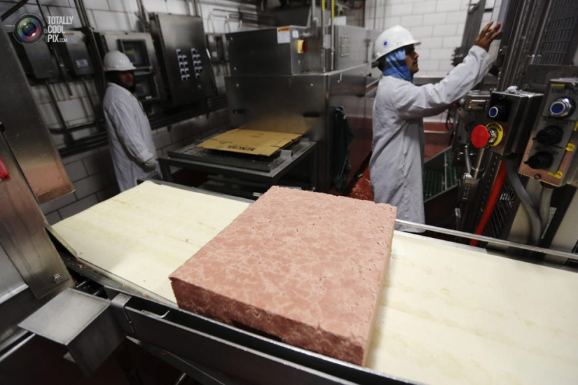 How the meat we eat is made How the meat we eat is made