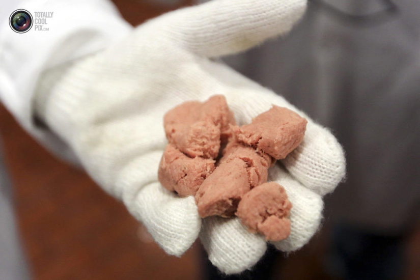 How the meat we eat is made How the meat we eat is made