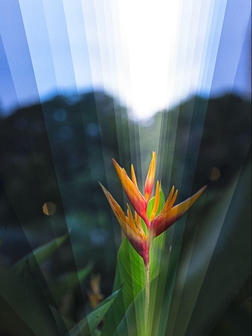 How to Capture 24 Hours in One Photo