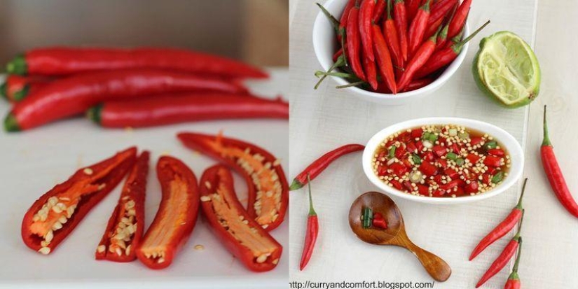 How to cook Thai food: secrets of Thai chefs