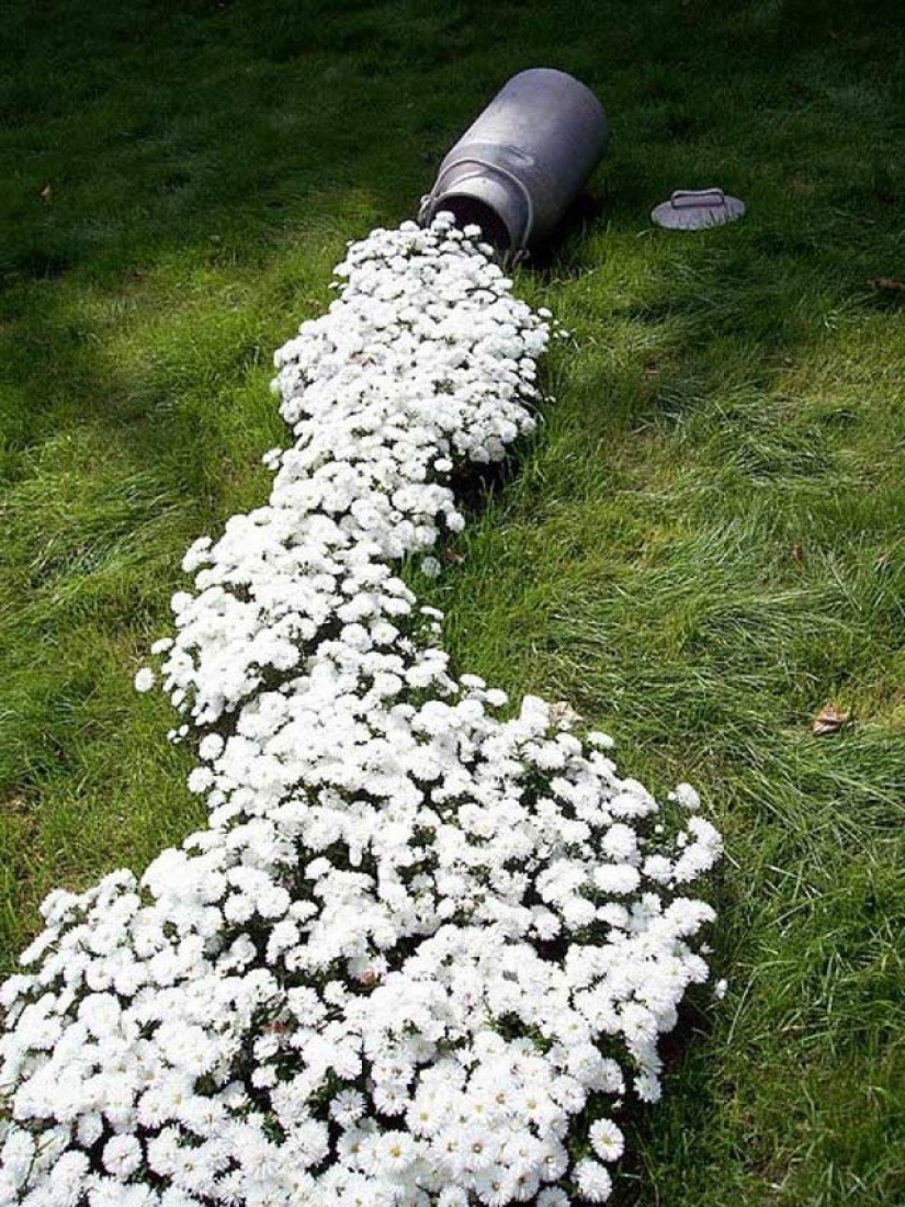 How to create a beautiful, unusual flower bed from improvised materials: 20 examples