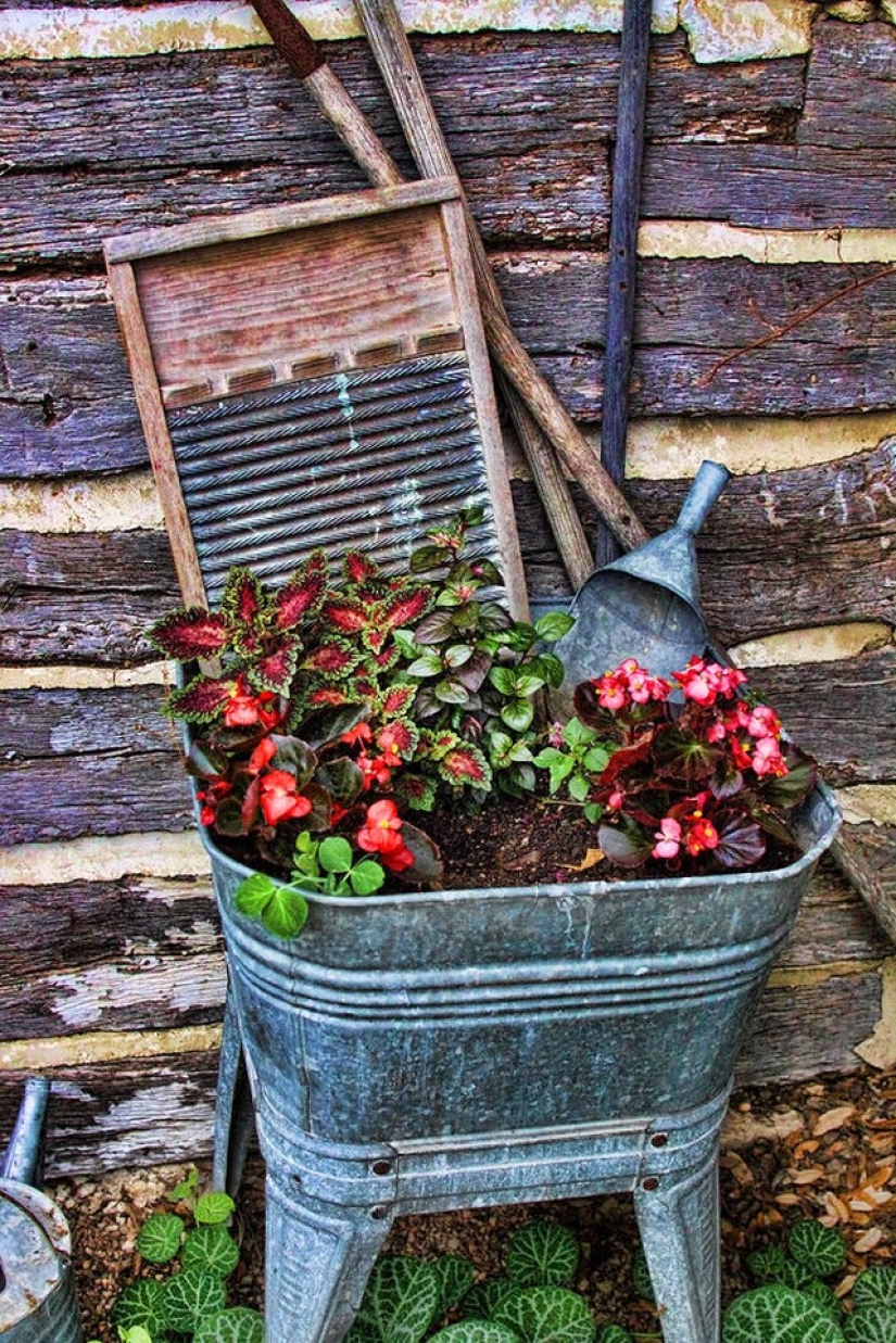 How to create a beautiful, unusual flower bed from improvised materials: 20 examples
