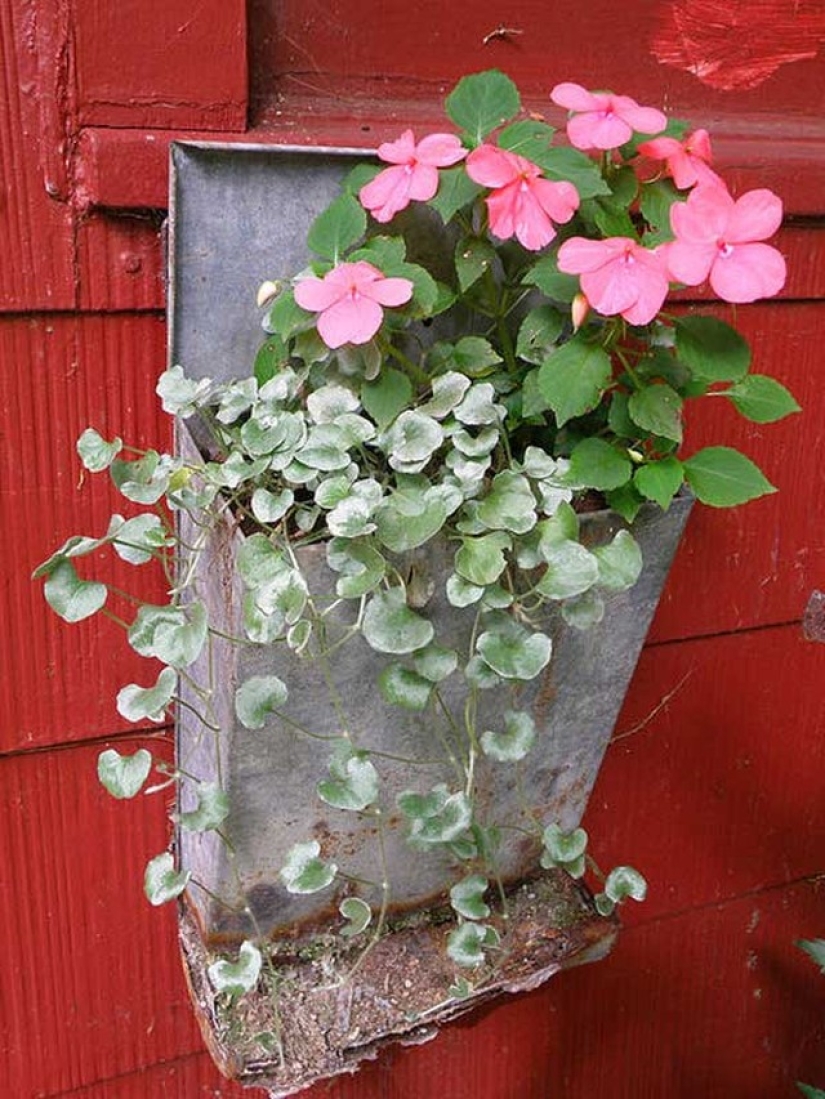 How to create a beautiful, unusual flower bed from improvised materials: 20 examples