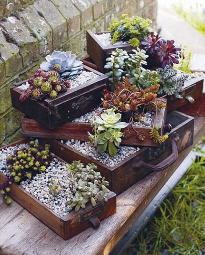 How to create a beautiful, unusual flower bed from improvised materials: 20 examples