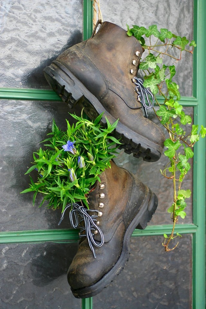 How to create a beautiful, unusual flower bed from improvised materials: 20 examples