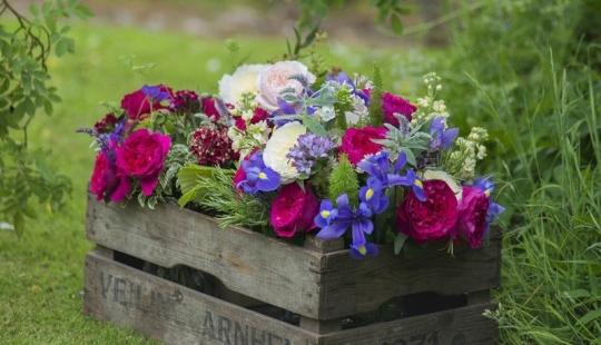 How to create a beautiful, unusual flower bed from improvised materials: 20 examples