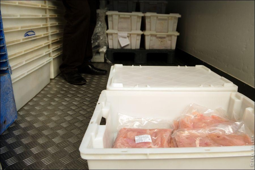 How to make fast food How to make fast food