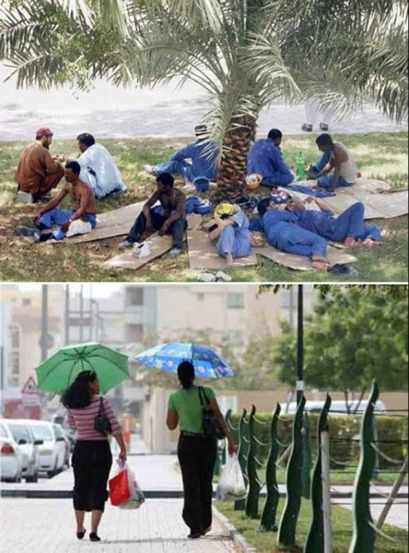 How to survive in the heat: foreign experience