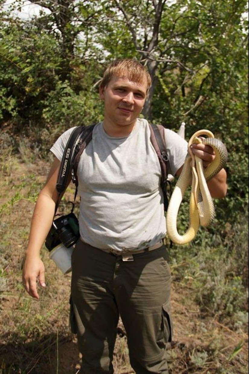 How to take pictures of snakes How to take pictures of snakes