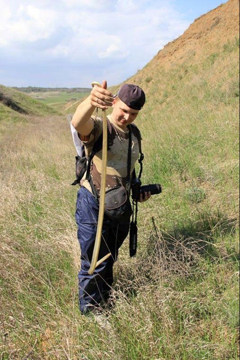 How to take pictures of snakes How to take pictures of snakes