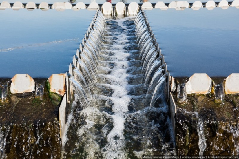 How water is purified in Moscow