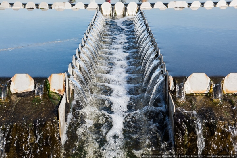 How water is purified in Moscow