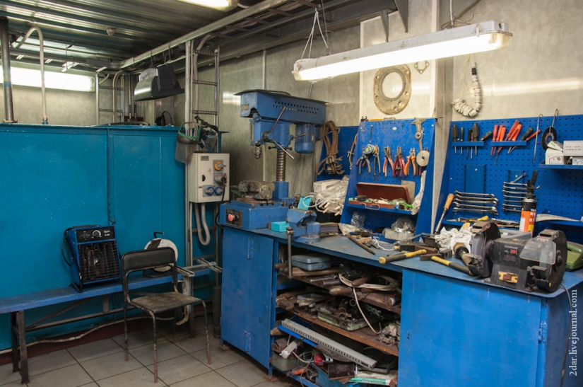 How we are being bred (on behalf of Troitsky)