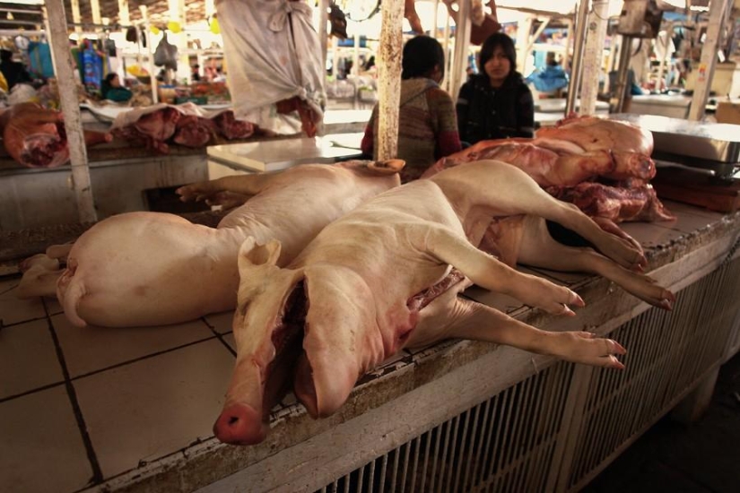 Humor and irony in photography Humor and irony in photography