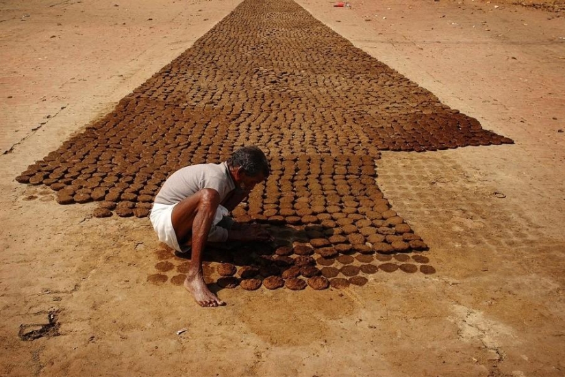 Humor e ironía en la fotografía. Humor e ironía en la fotografía.