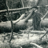 Huracán de 1904 — el más mortífero en Moscú en 100 años