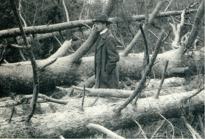 Hurricane of 1904 — the deadliest in Moscow in 100 years