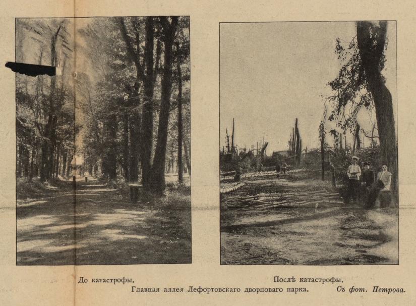 Hurricane of 1904 — the deadliest in Moscow in 100 years Hurricane of 1904 — the deadliest in Moscow in 100 years