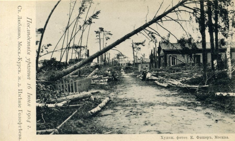 Hurricane of 1904 — the deadliest in Moscow in 100 years Hurricane of 1904 — the deadliest in Moscow in 100 years