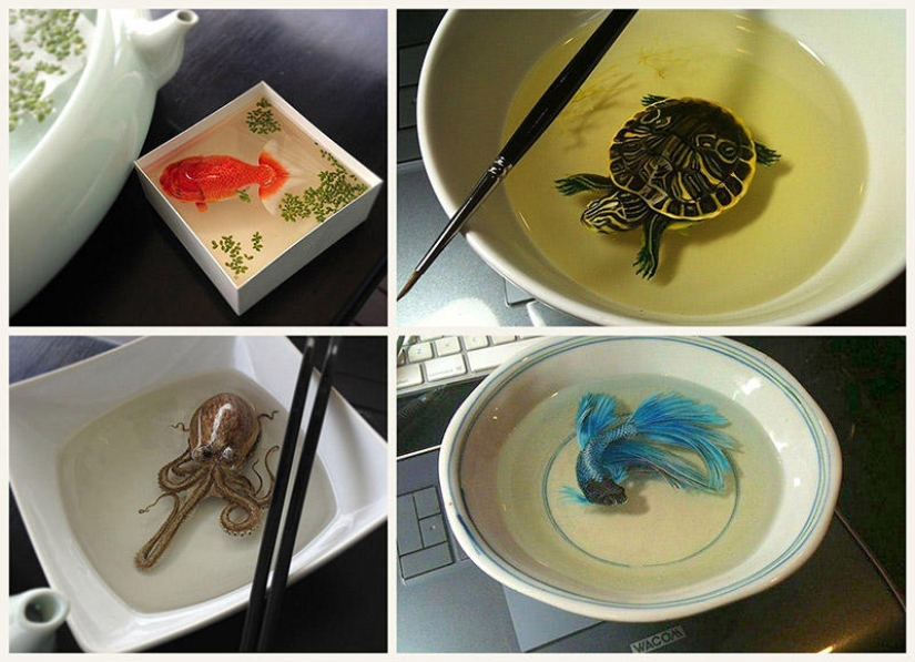 Hyper-realistic animals made of acrylic and resin Hyper-realistic animals made of acrylic and resin