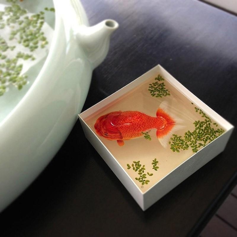 Hyper-realistic animals made of acrylic and resin Hyper-realistic animals made of acrylic and resin