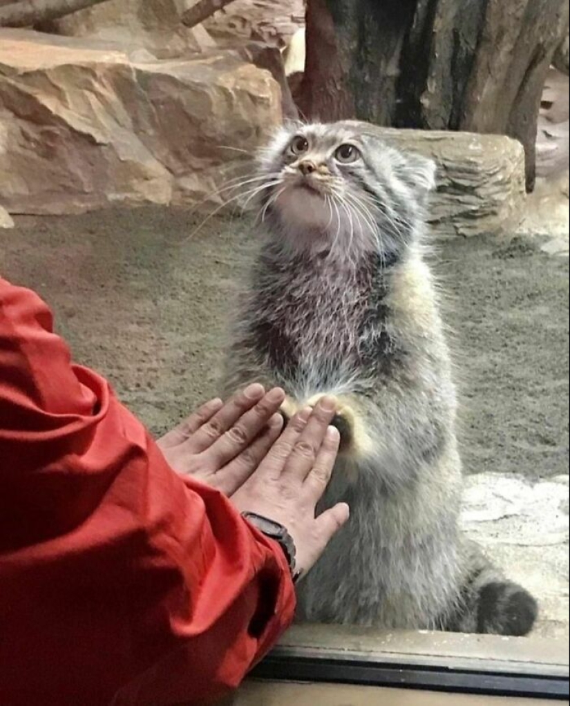 “I Am Cringe, But I Am Free”: 80 Hilarious Yet Confusing Images