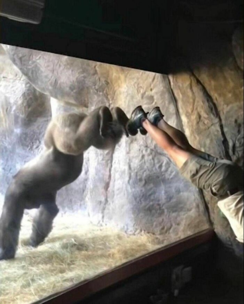 “I Am Cringe, But I Am Free”: 80 Hilarious Yet Confusing Images