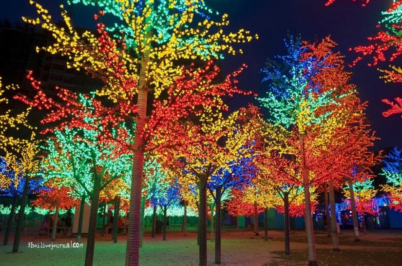 I-City: jardín luminoso en Malasia I-City: jardín luminoso en Malasia