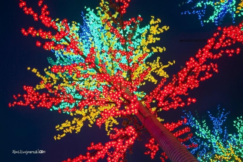 I-City: Luminous garden in Malaysia I-City: Luminous garden in Malaysia