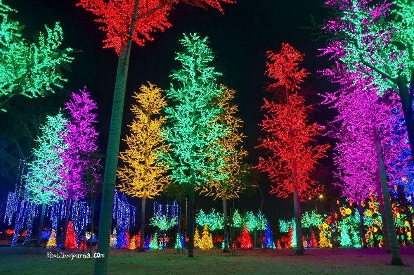 I-City: Luminous garden in Malaysia I-City: Luminous garden in Malaysia