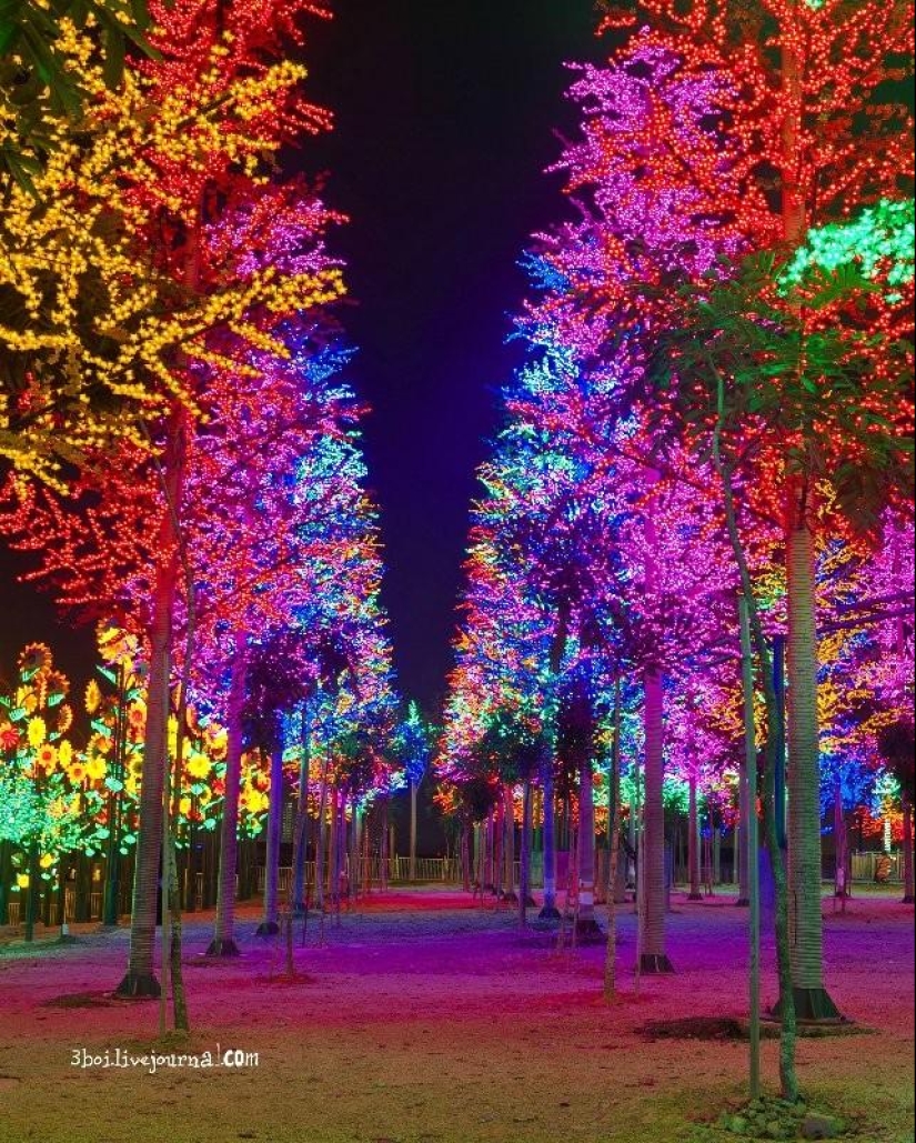 I-City: Luminous garden in Malaysia I-City: Luminous garden in Malaysia