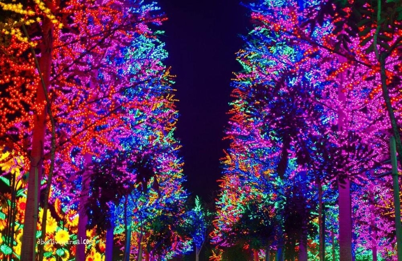 I-City: Luminous garden in Malaysia I-City: Luminous garden in Malaysia