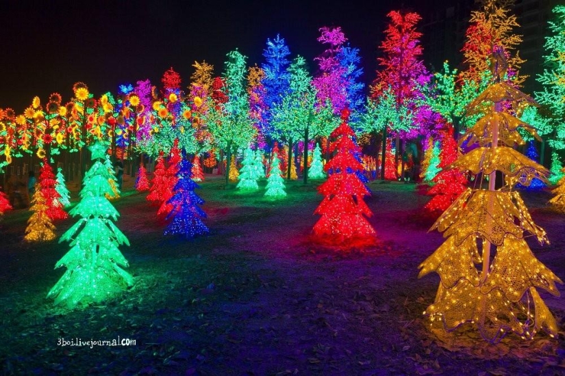 I-City: Luminous garden in Malaysia I-City: Luminous garden in Malaysia