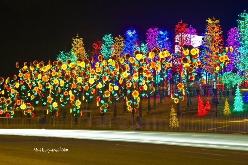 I-City: Luminous garden in Malaysia I-City: Luminous garden in Malaysia