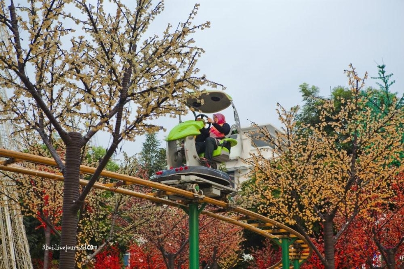 I-City: Luminous garden in Malaysia I-City: Luminous garden in Malaysia