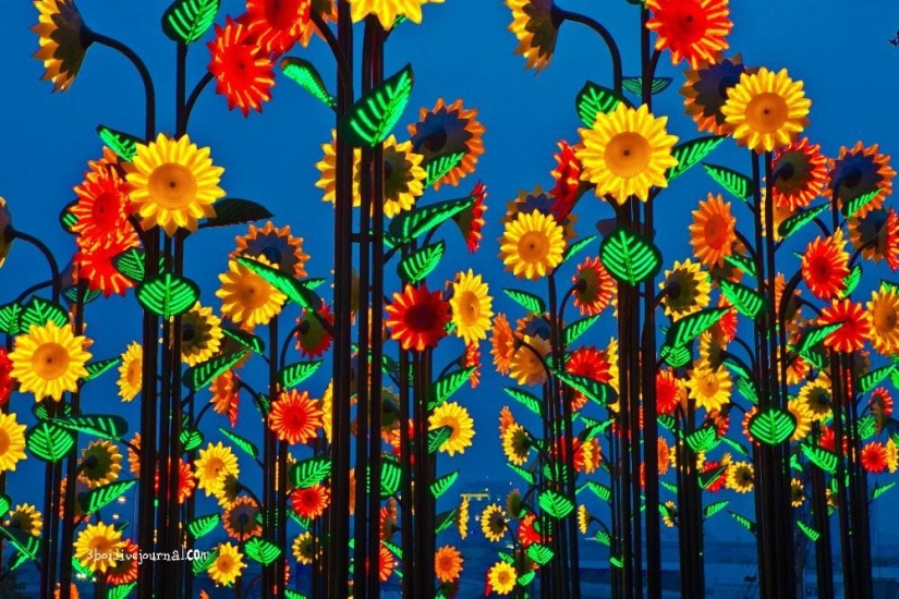 I-City: Luminous garden in Malaysia I-City: Luminous garden in Malaysia