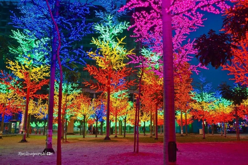 I-City: Luminous garden in Malaysia I-City: Luminous garden in Malaysia