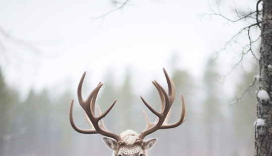 I Created Ridiculously Accurate Images Of Finland