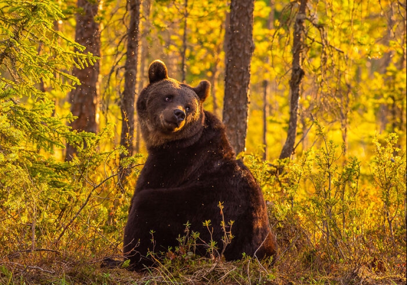 I Enjoy Capturing The Beauty Of Finland, Here Are 23 Of My Favorite Pictures